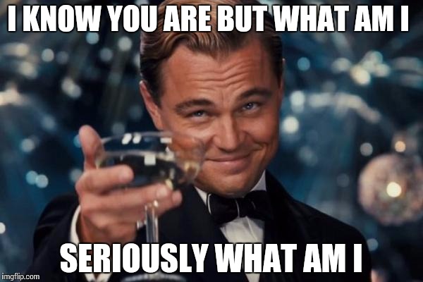 Leonardo Dicaprio Cheers Meme | I KNOW YOU ARE BUT WHAT AM I SERIOUSLY WHAT AM I | image tagged in memes,leonardo dicaprio cheers | made w/ Imgflip meme maker