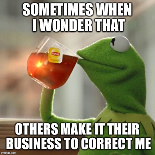 But That's None Of My Business Meme | SOMETIMES WHEN I WONDER THAT OTHERS MAKE IT THEIR BUSINESS TO CORRECT ME | image tagged in memes,but thats none of my business,kermit the frog | made w/ Imgflip meme maker