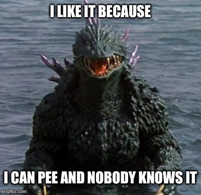 I LIKE IT BECAUSE I CAN PEE AND NOBODY KNOWS IT | made w/ Imgflip meme maker