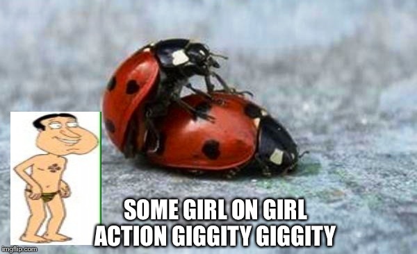 Bow-Chika-Bow-Wow...  | SOME GIRL ON GIRL ACTION GIGGITY GIGGITY | image tagged in funny memes,imgflip,meme maker,family guy,latest,featured | made w/ Imgflip meme maker