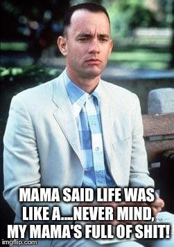 Forest gump | MAMA SAID LIFE WAS LIKE A....NEVER MIND, MY MAMA'S FULL OF SHIT! | image tagged in forest gump | made w/ Imgflip meme maker