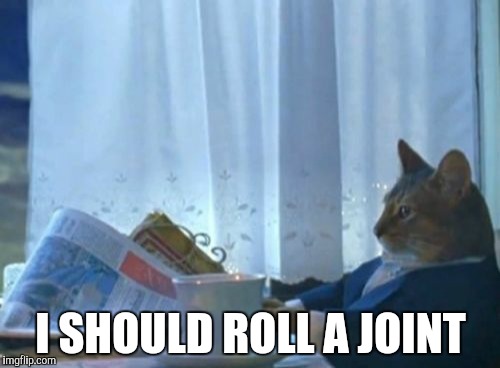 I Should Buy A Boat Cat | I SHOULD ROLL A JOINT | image tagged in memes,i should buy a boat cat | made w/ Imgflip meme maker