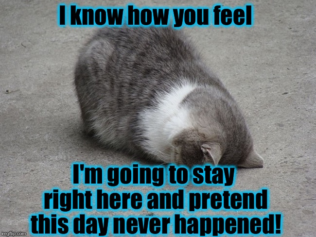 I know how you feel I'm going to stay right here and pretend this day never happened! | made w/ Imgflip meme maker