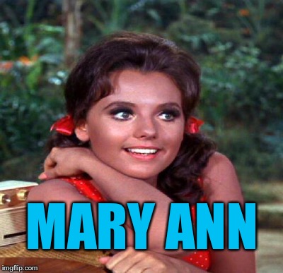 MARY ANN | made w/ Imgflip meme maker