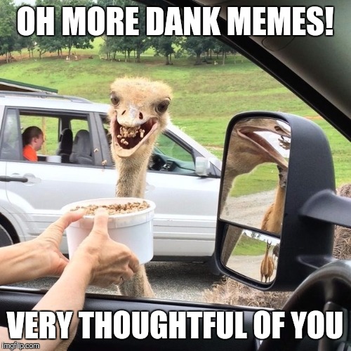 OH MORE DANK MEMES! VERY THOUGHTFUL OF YOU | image tagged in original meme | made w/ Imgflip meme maker