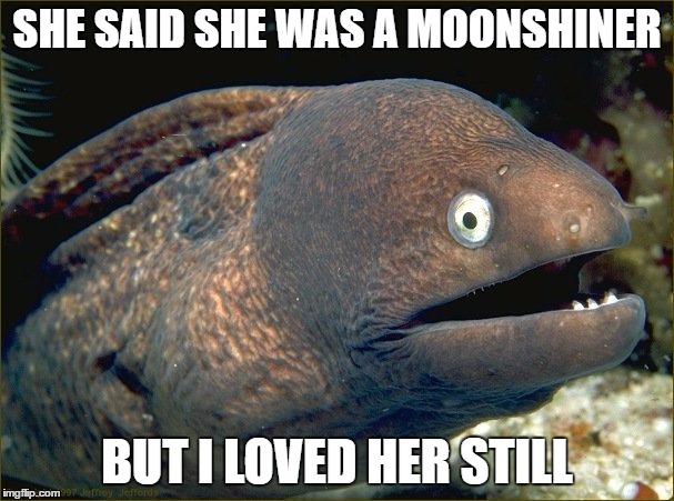 bad joke eel | SHE SAID SHE WAS A MOONSHINER; BUT I LOVED HER STILL | image tagged in bad joke eel | made w/ Imgflip meme maker