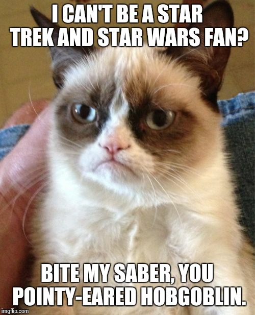 Grumpy Cat Meme | I CAN'T BE A STAR TREK AND STAR WARS FAN? BITE MY SABER, YOU POINTY-EARED HOBGOBLIN. | image tagged in memes,grumpy cat | made w/ Imgflip meme maker