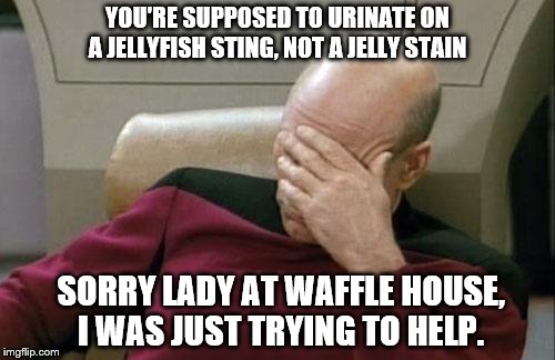 Captain Picard Facepalm | YOU'RE SUPPOSED TO URINATE ON A JELLYFISH STING, NOT A JELLY STAIN; SORRY LADY AT WAFFLE HOUSE, I WAS JUST TRYING TO HELP. | image tagged in memes,captain picard facepalm | made w/ Imgflip meme maker