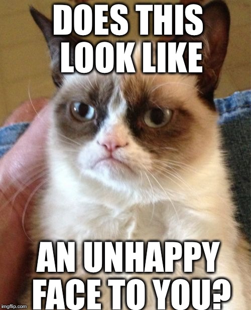 Grumpy Cat Meme | DOES THIS LOOK LIKE; AN UNHAPPY FACE TO YOU? | image tagged in memes,grumpy cat | made w/ Imgflip meme maker