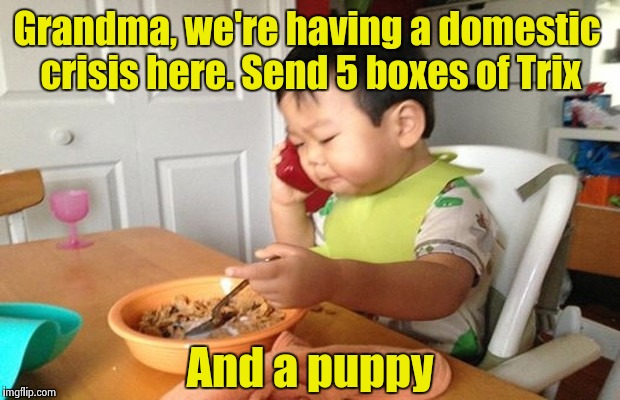 Really. You have no idea what Mom is trying to feed me. | Grandma, we're having a domestic crisis here. Send 5 boxes of Trix; And a puppy | image tagged in business baby phone | made w/ Imgflip meme maker