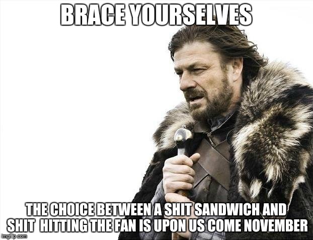 Brace Yourselves X is Coming | BRACE YOURSELVES; THE CHOICE BETWEEN A SHIT SANDWICH AND SHIT  HITTING THE FAN IS UPON US COME NOVEMBER | image tagged in memes,brace yourselves x is coming | made w/ Imgflip meme maker