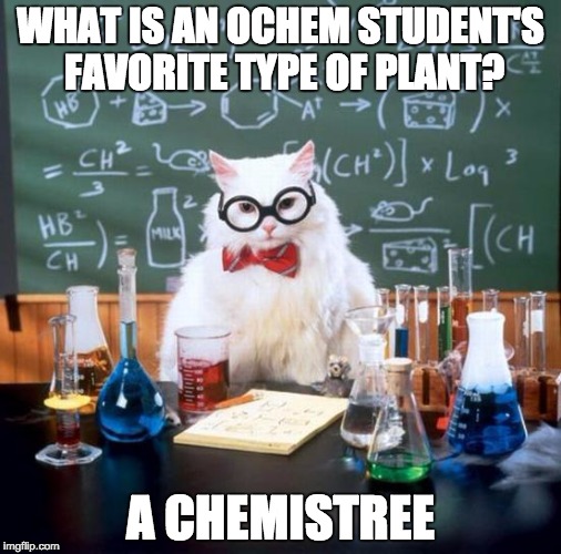 Chemistry Cat Meme | WHAT IS AN OCHEM STUDENT'S FAVORITE TYPE OF PLANT? A CHEMISTREE | image tagged in memes,chemistry cat | made w/ Imgflip meme maker