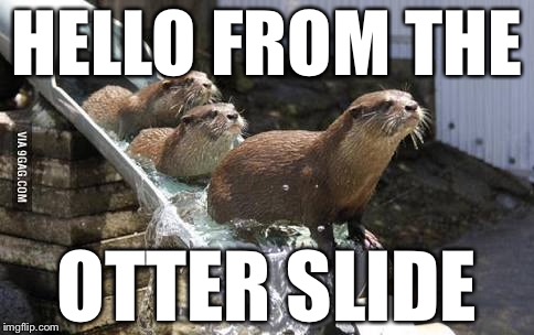 Adele got us screwed  | HELLO FROM THE; OTTER SLIDE | image tagged in bad pun,otter,water slide | made w/ Imgflip meme maker