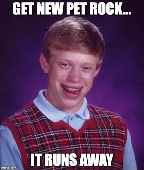 Bad Luck Brian | GET NEW PET ROCK... IT RUNS AWAY | image tagged in memes,bad luck brian | made w/ Imgflip meme maker