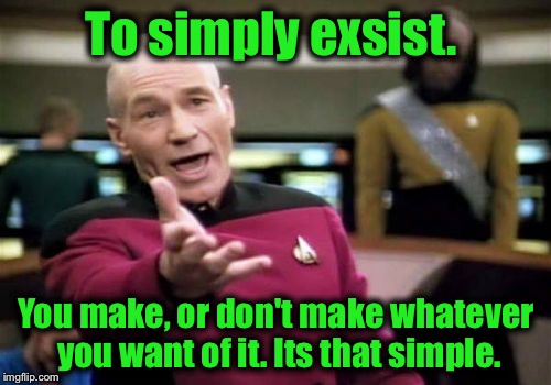 Picard Wtf Meme | To simply exsist. You make, or don't make whatever you want of it. Its that simple. | image tagged in memes,picard wtf | made w/ Imgflip meme maker