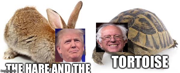 THE HARE AND THE; TORTOISE | image tagged in presidential race | made w/ Imgflip meme maker