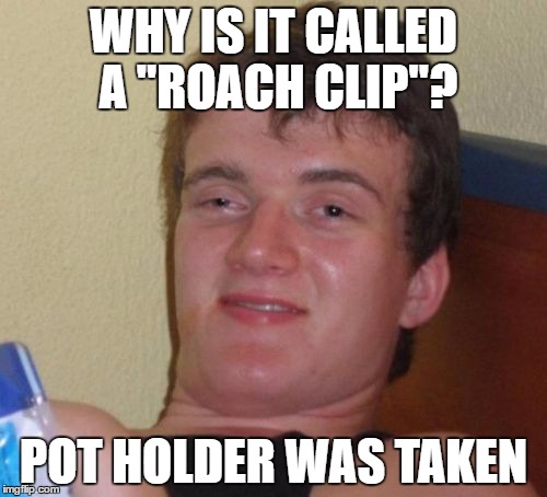 10 Guy Meme | WHY IS IT CALLED A "ROACH CLIP"? POT HOLDER WAS TAKEN | image tagged in memes,10 guy | made w/ Imgflip meme maker