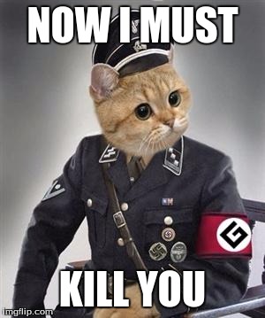 gramer notzi | NOW I MUST KILL YOU | image tagged in gramer notzi | made w/ Imgflip meme maker