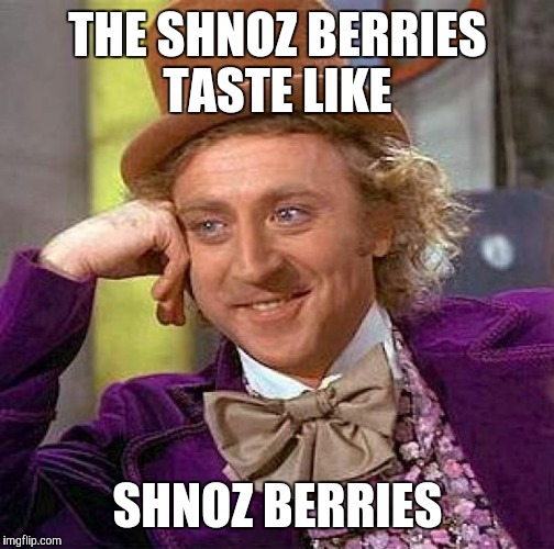 Creepy Condescending Wonka Meme | THE SHNOZ BERRIES TASTE LIKE SHNOZ BERRIES | image tagged in memes,creepy condescending wonka | made w/ Imgflip meme maker