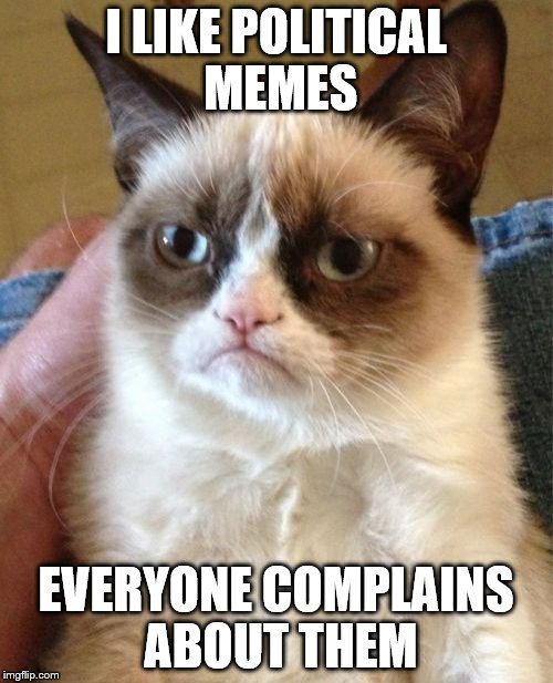 Grumpy Cat Meme | I LIKE POLITICAL MEMES EVERYONE COMPLAINS ABOUT THEM | image tagged in memes,grumpy cat | made w/ Imgflip meme maker