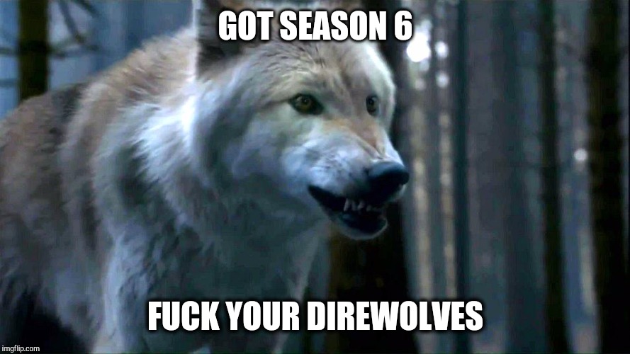 Direwolf | GOT SEASON 6; FUCK YOUR DIREWOLVES | image tagged in direwolf | made w/ Imgflip meme maker