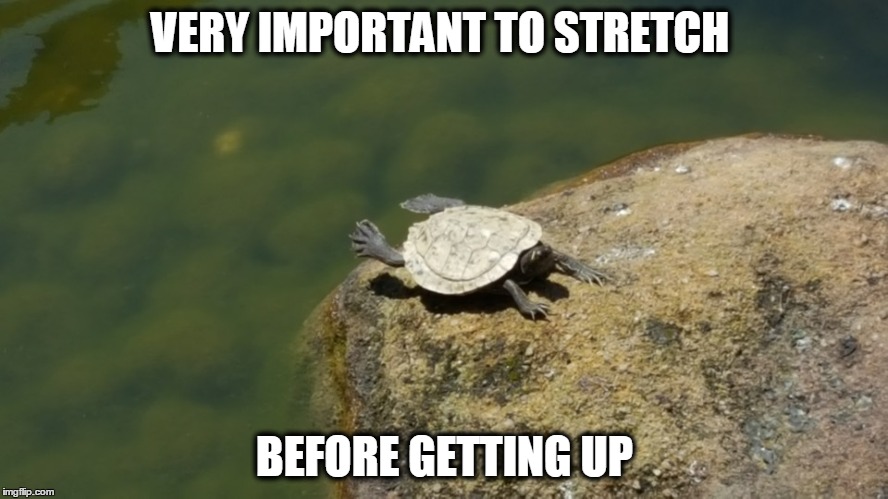 Turtle stretch  | VERY IMPORTANT TO STRETCH; BEFORE GETTING UP | image tagged in turtle meme,stretching,stretch,morning,monday mornings,lazy | made w/ Imgflip meme maker