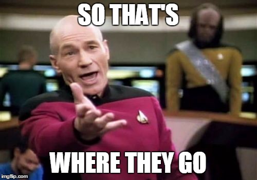 Picard Wtf Meme | SO THAT'S WHERE THEY GO | image tagged in memes,picard wtf | made w/ Imgflip meme maker