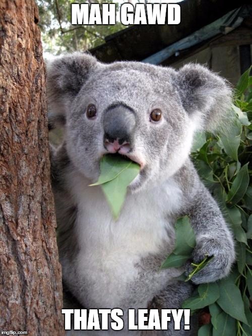 Surprised Koala | MAH GAWD; THATS LEAFY! | image tagged in memes,surprised koala | made w/ Imgflip meme maker