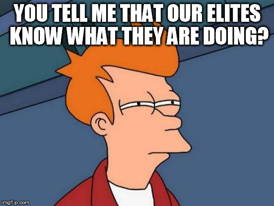 Futurama Fry Meme | YOU TELL ME THAT OUR ELITES KNOW WHAT THEY ARE DOING? | image tagged in memes,futurama fry | made w/ Imgflip meme maker