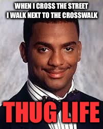 Thug Life | WHEN I CROSS THE STREET I WALK NEXT TO THE CROSSWALK; THUG LIFE | image tagged in thug life | made w/ Imgflip meme maker