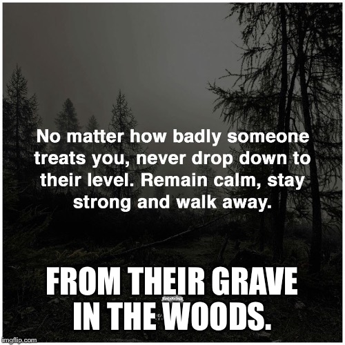 Woods | FROM THEIR GRAVE IN THE WOODS. | image tagged in grave | made w/ Imgflip meme maker