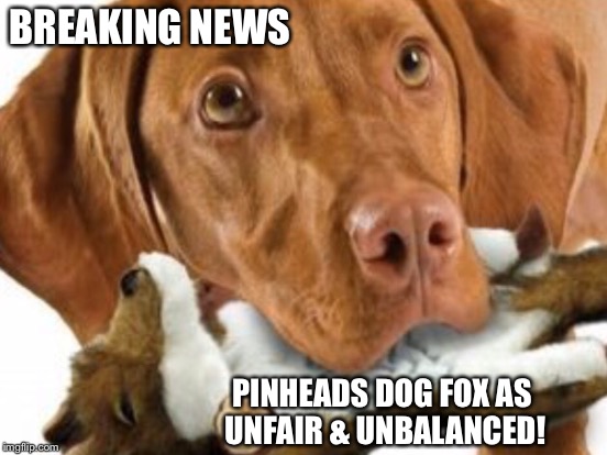 BREAKING NEWS PINHEADS DOG FOX AS UNFAIR & UNBALANCED! | made w/ Imgflip meme maker