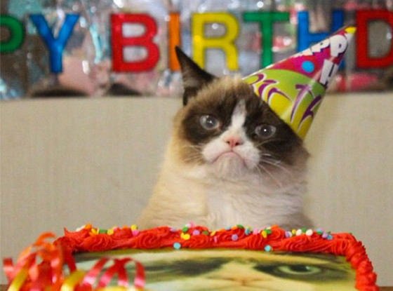 Grumpy cat party Blank Meme Template