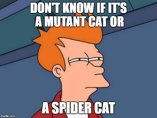 Futurama Fry Meme | DON'T KNOW IF IT'S A MUTANT CAT OR A SPIDER CAT | image tagged in memes,futurama fry | made w/ Imgflip meme maker
