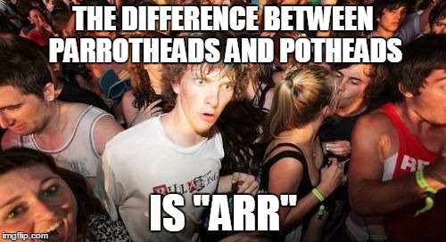 AH HA!  Now the whole "pirate" theme with Jimmy Buffet and his fans makes sense! | THE DIFFERENCE BETWEEN PARROTHEADS AND POTHEADS; IS "ARR" | image tagged in memes,sudden clarity clarence | made w/ Imgflip meme maker