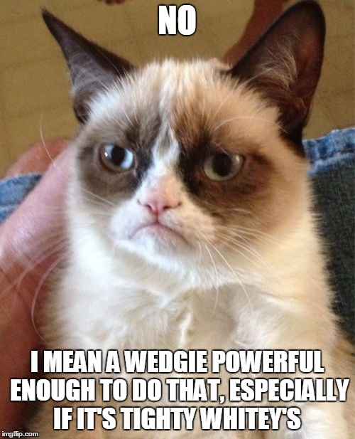 Grumpy Cat Meme | NO I MEAN A WEDGIE POWERFUL ENOUGH TO DO THAT, ESPECIALLY IF IT'S TIGHTY WHITEY'S | image tagged in memes,grumpy cat | made w/ Imgflip meme maker