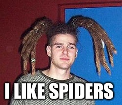 Spider Man | I LIKE SPIDERS | image tagged in spider man | made w/ Imgflip meme maker