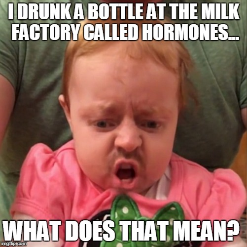 drunk baby |  I DRUNK A BOTTLE AT THE MILK FACTORY CALLED HORMONES... WHAT DOES THAT MEAN? | image tagged in drunk baby | made w/ Imgflip meme maker