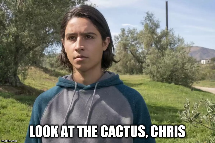 LOOK AT THE CACTUS, CHRIS | made w/ Imgflip meme maker