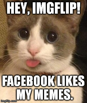 Nyah, nyah... (UPDATE: My mom says someone reposted one of my memes. They screwed up the wording, so it's not as clean as mine.) | HEY, IMGFLIP! FACEBOOK LIKES MY MEMES. | image tagged in cat sticking tongue out,funny,memes,facebook,imgflip,nyah | made w/ Imgflip meme maker