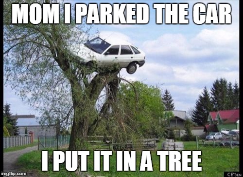 Secure Parking | MOM I PARKED THE CAR; I PUT IT IN A TREE | image tagged in memes,secure parking | made w/ Imgflip meme maker