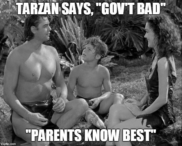 It's time to reduce Gov't, not grow it.  | TARZAN SAYS, "GOV'T BAD"; "PARENTS KNOW BEST" | image tagged in politics,voting | made w/ Imgflip meme maker