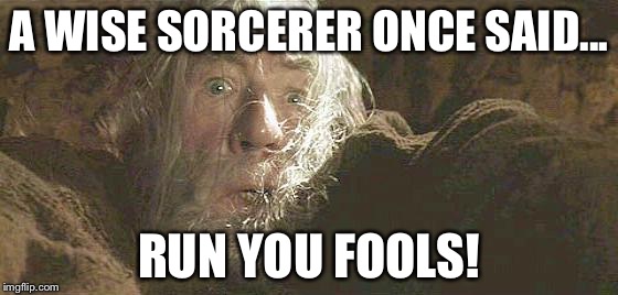 Gandalf Fly You Fools A WISE SORCERER ONCE SAID... 