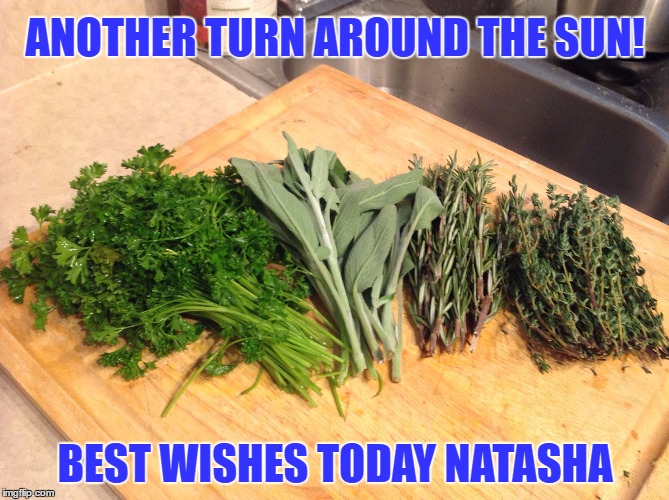 laid-back herbs | ANOTHER TURN AROUND THE SUN! BEST WISHES TODAY NATASHA | image tagged in laid-back herbs | made w/ Imgflip meme maker