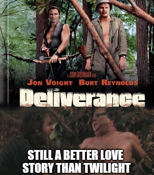 This here boar thinks he's a sow...Come on piggy, give me a ride piggy | STILL A BETTER LOVE STORY THAN TWILIGHT | image tagged in deliverance love story | made w/ Imgflip meme maker
