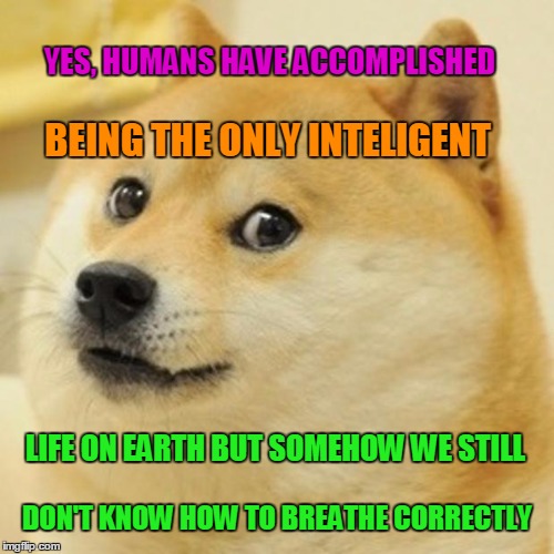 Doge Meme | YES, HUMANS HAVE ACCOMPLISHED; BEING THE ONLY INTELIGENT; LIFE ON EARTH BUT SOMEHOW WE STILL; DON'T KNOW HOW TO BREATHE CORRECTLY | image tagged in memes,doge | made w/ Imgflip meme maker