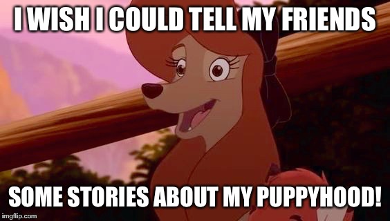 My Puppyhood | I WISH I COULD TELL MY FRIENDS; SOME STORIES ABOUT MY PUPPYHOOD! | image tagged in dixie smiling,memes,disney,the fox and the hound 2,reba mcentire,dog | made w/ Imgflip meme maker