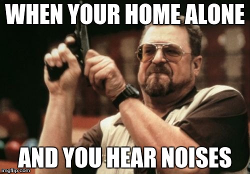 Am I The Only One Around Here Meme | WHEN YOUR HOME ALONE; AND YOU HEAR NOISES | image tagged in memes,am i the only one around here | made w/ Imgflip meme maker