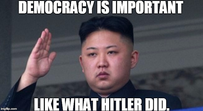 DEMOCRACY IS IMPORTANT; LIKE WHAT HITLER DID. | image tagged in hitler's person | made w/ Imgflip meme maker