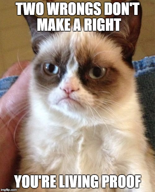 Grumpy Cat | TWO WRONGS DON'T MAKE A RIGHT; YOU'RE LIVING PROOF | image tagged in memes,grumpy cat | made w/ Imgflip meme maker